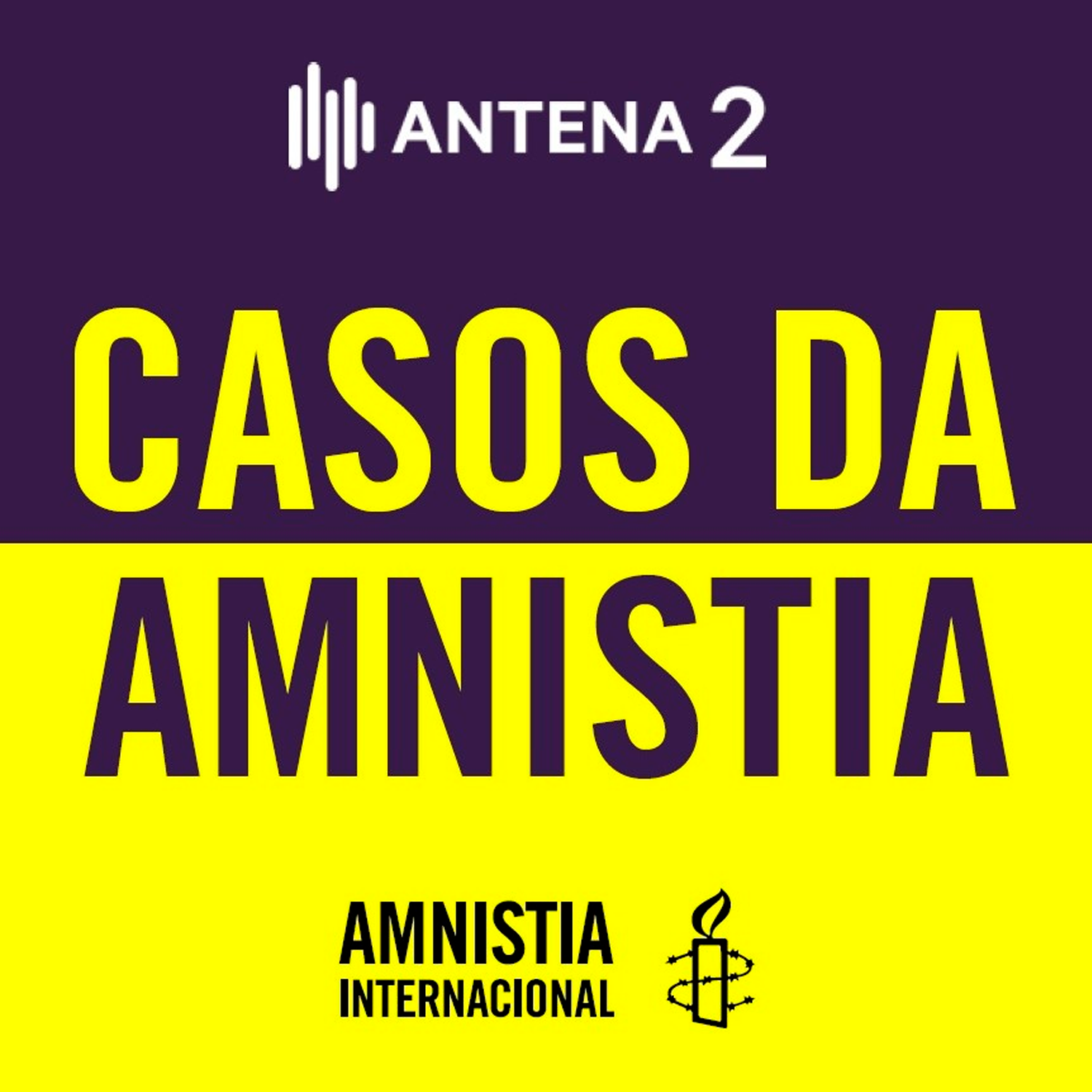 Casos da Amnistia