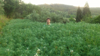 Imagem de Tiago Schwäbl