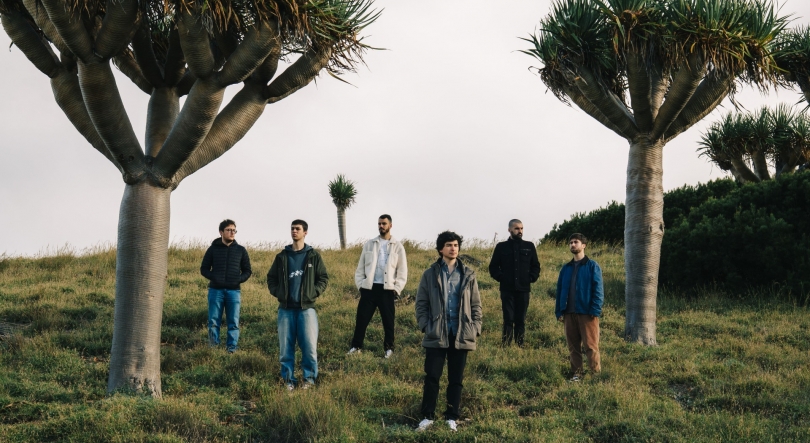 Imagem de Dracaena Draco | 19 novembro | 19h00