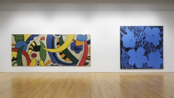 Imagem  de Ecos da Pop Art