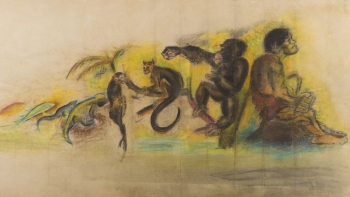 Imagem  de A Origem das Espécies, Darwin