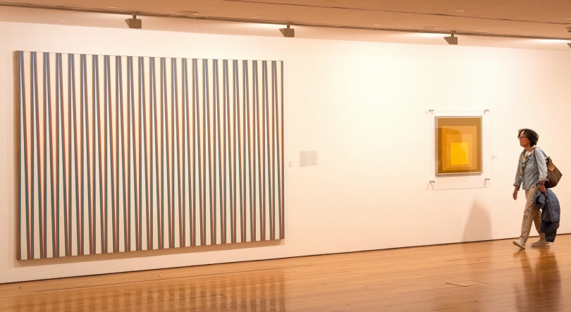 Imagem de Música no Museu – MAC/CCB – Repetições transitórias