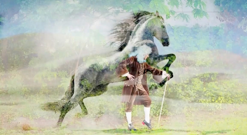 Imagem de Handel selvagem, no projeto “Handel goes wild”